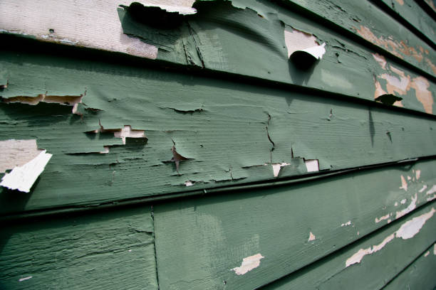 Best Fascia and Soffit Installation  in Penns Grove, NJ