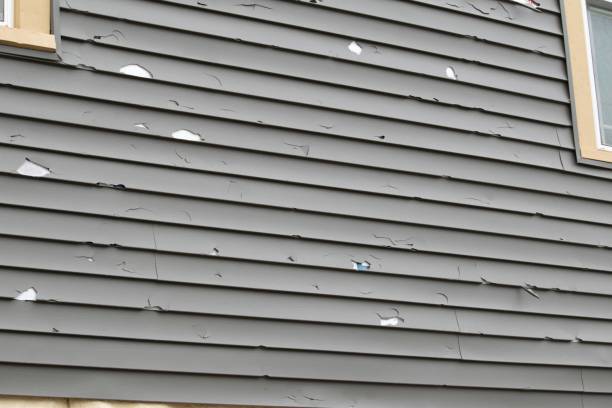 Best Historical Building Siding Restoration  in Penns Grove, NJ