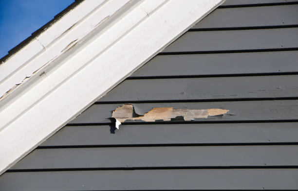 Best James Hardie Siding  in Penns Grove, NJ